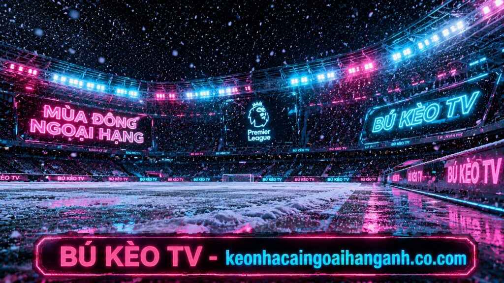 Ảnh đại diện hướng dẫn cách soi kèo bóng đá ngoại hạng anh mùa đông hiệu quả tại BÚ KÈO TV