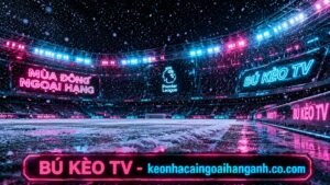 Ảnh đại diện hướng dẫn cách soi kèo bóng đá ngoại hạng anh mùa đông hiệu quả tại BÚ KÈO TV