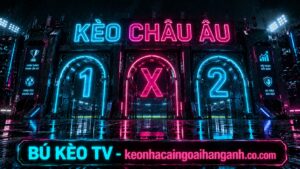 Ảnh đại diện hướng dẫn chơi kèo châu âu ngoại hạng anh hiệu quả tại BÚ KÈO TV