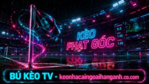 Ảnh đại diện chiến thuật soi kèo phạt góc ngoại hạng anh hiệu quả tại BÚ KÈO TV